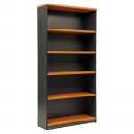 Bookcase with shelf