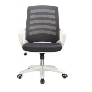 White Frame Ergonomic Mesh Chair