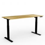 Electric Height Adjustable Desk with Two Stage