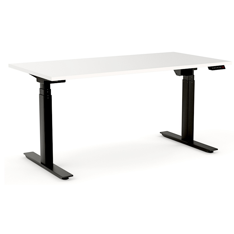 Sit Stand Height Adjustable Table with Two Motors