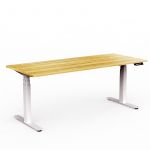 Electric Height Adjustable Desk with Two Stage